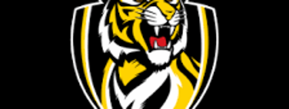 Support the Tigers
